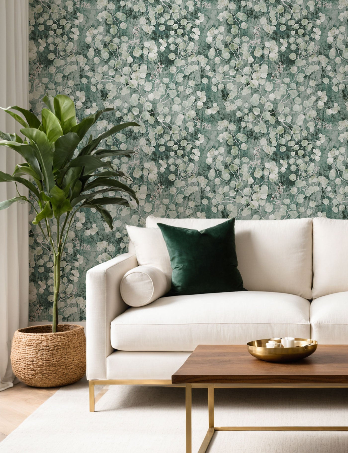 Eucaliptus Wallpaper